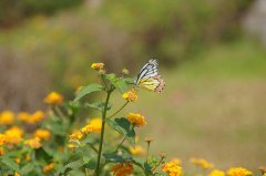 DSC03434.JPG